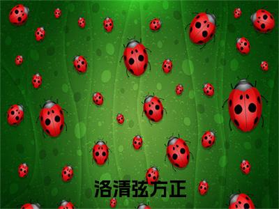 洛清弦方正小说（方正洛清弦）热推新书_洛清弦方正最新章节在线阅读_笔趣阁