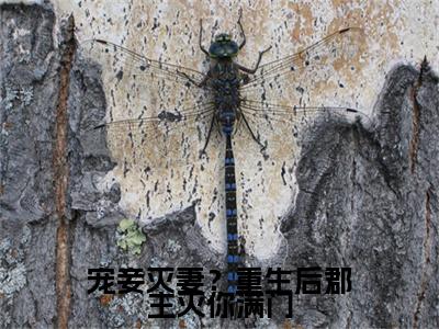 宠妾灭妻？重生后郡主灭你满门最新章节（沈嘉懿）全文免费阅读无弹窗大结局_沈嘉懿宠妾灭妻？重生后郡主灭你满门全文免费阅读