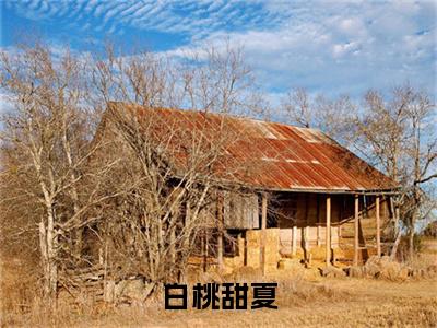 小说白桃甜夏(季知珩温年)免费阅读-小说白桃甜夏全文在线赏析