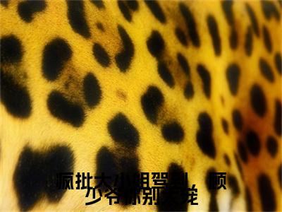 顾思宸许汐晚大结局免费阅读 疯批大小姐驾到,顾少爷你别太宠最新热点小说