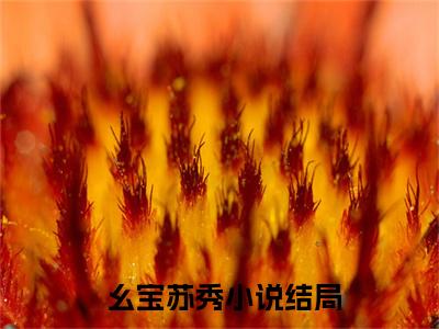 穿成团宠，怎么睁眼全家流放了？是什么小说，穿成团宠，怎么睁眼全家流放了？（ 幺宝苏秀）完整章节在线阅读
