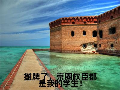 安歆（安歆）全文免费阅读无弹窗_摊牌了，京圈权臣都是我的学生！小说在线阅读_笔趣阁