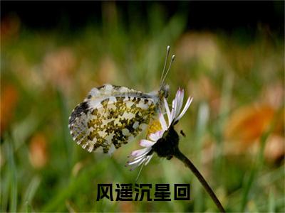风遥沉星回（沉星回风遥小说）全文免费阅读无弹窗大结局_(风遥沉星回小说免费阅读全文大结局)最新章节列表_笔趣阁（沉星回风遥）