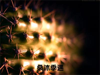 桑沐季遇(季遇桑沐)全文在线阅读无弹窗大结局_(桑沐季遇在线阅读)最新章节列表_笔趣阁(季遇桑沐)