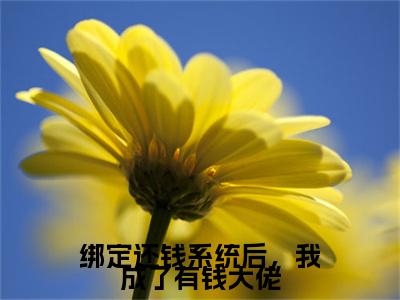 张昊楠陈桥远免费小说,绑定还钱系统后,我成了有钱大佬全文免费阅读无弹窗大结局