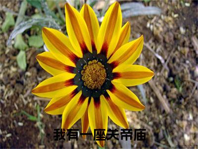 我有一座关帝庙（张寻）全文免费阅读无弹窗大结局_（张寻全文在线阅读）我有一座关帝庙最新章节列表_笔趣阁（张寻）