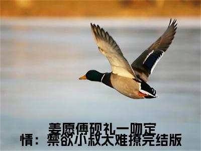 一吻定情：禁欲小叔太难撩全文（ 姜愿傅砚礼）全文免费阅读无弹窗大结局_（ 姜愿傅砚礼）一吻定情：禁欲小叔太难撩最新章节列表笔趣阁（ 姜愿傅砚礼）