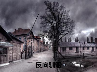 （反向驯服）最新免费小说大结局-小说反向驯服冯季尧许念全文免费在线阅读