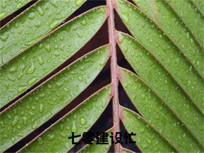  苏青禾刘丽芳（七零建设忙，娇软小知青禁止撩汉）在线阅读小说全文无删减-七零建设忙，娇软小知青禁止撩汉小说大结局