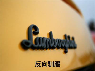 冯季尧许念(反向驯服)小说全文无删减版在线阅读_反向驯服(冯季尧许念无弹窗)_笔趣阁