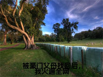 被豪门父母找回后,我火遍全网小说限时免费,苏棠完结版小说阅读无弹窗_笔趣阁