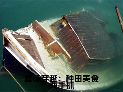 星际穿越：种田美食两手抓（蓝绵绵）全文免费阅读最新章节_星际穿越：种田美食两手抓大结局精彩阅读_笔趣阁（蓝绵绵）