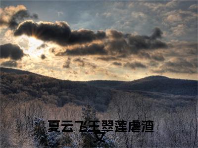 穿成年代反派小咸鱼全文免费阅读无弹窗大结局- 夏云飞王翠莲在线阅读