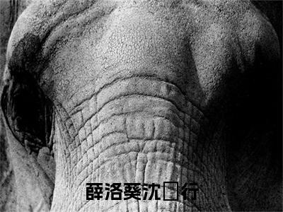 薛洛葵沈玠行（沈玠行薛洛葵）全文免费阅读无弹窗大结局_沈玠行薛洛葵全文免费阅读_笔趣阁（薛洛葵沈玠行）