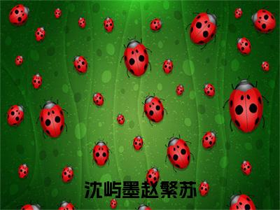 赵繁苏沈屿墨全文免费阅读无弹窗大结局_(沈屿墨赵繁苏阅读全文大结局)赵繁苏沈屿墨最新章节列表（沈屿墨赵繁苏）