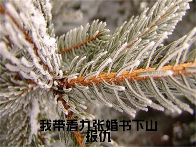 我带着九张婚书下山报仇（乔木）精选好书-乔木无删减小说在线阅读（我带着九张婚书下山报仇全文免费阅读）
