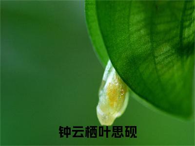 叶思砚钟云栖(钟云栖叶思砚)全文免费阅读无弹窗大结局_钟云栖叶思砚小说在线阅读无删减