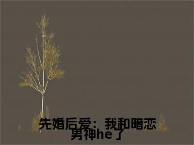 先婚后爱：我和暗恋男神he了全文免费在线阅读_（ 江知念时晔免费阅读无弹窗）先婚后爱：我和暗恋男神he了全文免费完结版阅读（ 江知念时晔）