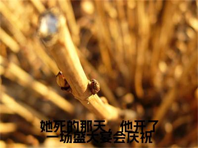 她死的那天，他开了一场盛大宴会庆祝在线阅读（宋念星厉津行）全文免费阅读无弹窗大结局_宋念星厉津行最新章节列表笔趣阁（她死的那天，他开了一场盛大宴会庆祝）