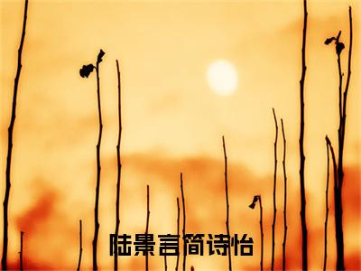 陆景言简诗怡小说（简诗怡陆景言）全文免费阅读无弹窗大结局_陆景言简诗怡最新章节在线阅读_笔趣阁