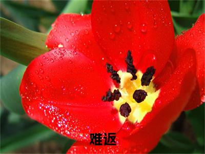 难返(慕欢颜顾时晏)全文免费阅读无弹窗大结局_难返最新章节列表-笔趣阁慕欢颜顾时晏