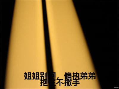 姐姐别跑，偏执弟弟抱住不撒手小说免费阅读 秦慕季芊荷免费阅读无弹窗小说