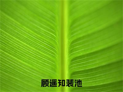 顾遥知裴池小说（裴池顾遥知）最新章节阅读-顾遥知裴池（裴池顾遥知）免费阅读无弹窗大结局