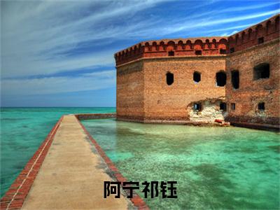 阿宁祁钰（祁钰阿宁）全文免费阅读阿宁祁钰最新章节小说免费阅读_笔趣阁