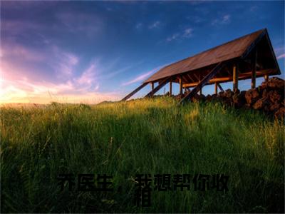 主角为乔珩景颜的小说精彩阅读-乔医生，我想帮你收租最新章节阅读