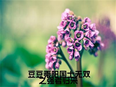 国士无双之强者归来小说（ 豆豆秦阳)全文免费阅读无弹窗大结局_国士无双之强者归来完整版最新阅读_笔趣阁（ 豆豆秦阳）