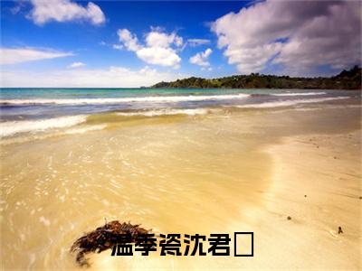 温季瓷沈君璟(温季瓷沈君璟)全文免费阅读无弹窗大结局_温季瓷沈君璟(温季瓷沈君璟无弹窗)_笔趣阁