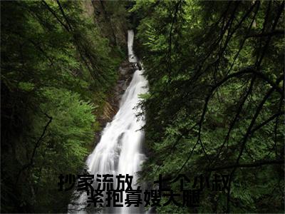 抄家流放,七个小叔紧抱寡嫂大腿小说全文免费阅读无弹窗-(沈滟七阅读无弹窗)穿越小说免费阅读_笔趣阁