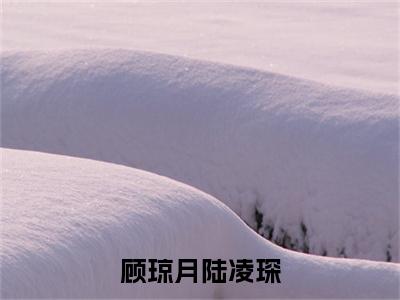 （顾琼月陆凌琛）最新免费小说大结局-小说顾琼月陆凌琛陆凌琛顾琼月全文免费在线阅读