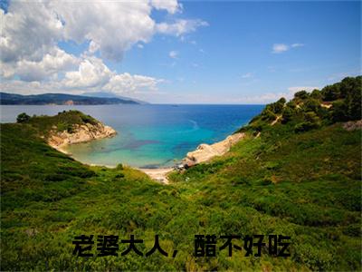 老婆大人,醋不好吃小说(傅小小姜晏庭)全文免费阅读无弹窗_老婆大人,醋不好吃最新小说_笔趣阁(傅小小姜晏庭)
