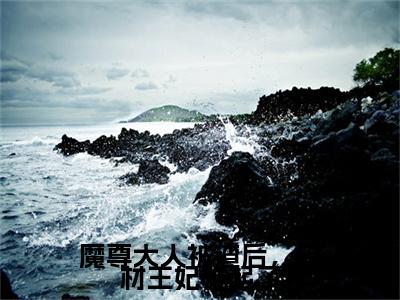 魔尊大人被渣后，废材王妃雄起了（夜九天君夭夭全章节完整版）免费阅读_（夜九天君夭夭）魔尊大人被渣后，废材王妃雄起了全文无删减免费阅读