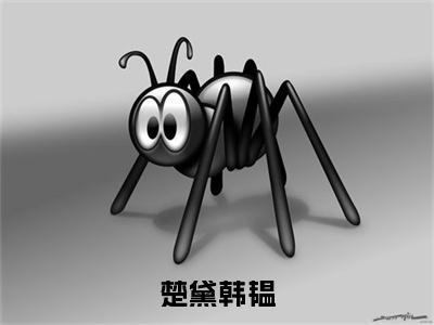 韩韫楚黛楚黛韩韫免费阅读无弹窗 小说韩韫楚黛最新章节