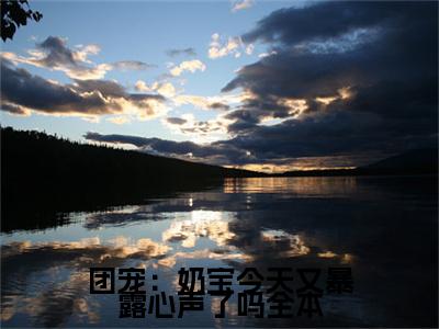  陆朝朝陆远泽小说全文免费阅读_团宠：奶宝今天又暴露心声了吗（ 陆朝朝陆远泽）最新章节列表笔趣阁