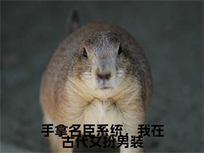 手拿名臣系统，我在古代女扮男装全文免费阅读无弹窗大结局_许玥无弹窗全文阅读