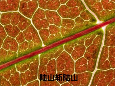 穿越：我成傀儡皇？把奸臣都杀咯( 陆山斩陆山)小说精彩免费内容_穿越：我成傀儡皇？把奸臣都杀咯 陆山斩陆山最新章节全文阅读（ 陆山斩陆山）