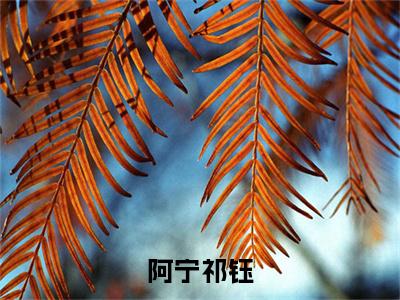 祁钰阿宁免费阅读无弹窗大结局，阿宁祁钰（最新全章节）全文阅读免费阅读-笔趣阁