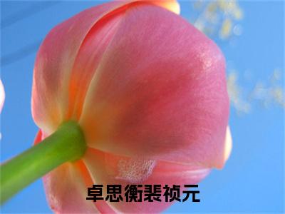 卓思衡裴祯元全文免费阅读无弹窗大结局_裴祯元卓思衡(卓思衡裴祯元)小说结局免费阅读（裴祯元卓思衡）