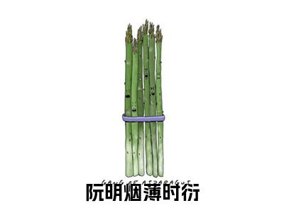 薄时衍阮明烟阮明烟薄时衍完结小说-阮明烟薄时衍全文免费阅读无弹窗