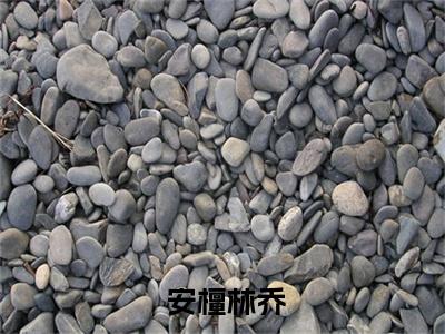  安檀林乔为 安檀林乔的小说叫什么-最新小说从欲全文阅读