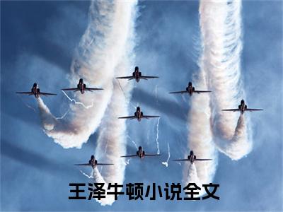 从搭网站到开发世界，我末日修仙小说最新试读_ 王泽牛顿小说名是（从搭网站到开发世界，我末日修仙）_笔趣阁