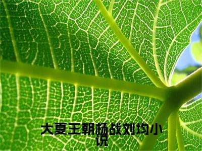 大夏王朝杨战刘均（ 刘均杨战）小说全文免费阅读无弹窗_( 刘均杨战全文阅读)大夏王朝杨战刘均免费阅读大结局