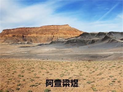 粱煜阿萱（阿萱粱煜）全文免费阅读无弹窗大结局_（粱煜阿萱）阿萱粱煜章节列表