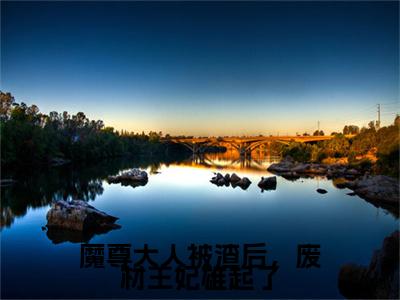 魔尊大人被渣后，废材王妃雄起了夜九天君夭夭免费小说 夜九天君夭夭全文无弹窗完整版阅读
