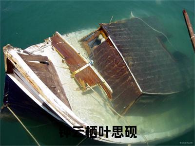 (叶思砚钟云栖)热门美文阅读_热门小说钟云栖叶思砚主人公是(叶思砚钟云栖)最新章节限时观看_笔趣阁