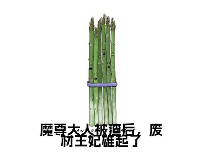 （夜九天君夭夭）魔尊大人被渣后，废材王妃雄起了全文免费阅读无弹窗大结局_(魔尊大人被渣后，废材王妃雄起了)夜九天君夭夭免费阅读无弹窗最新章节列表_笔趣阁（魔尊大人被渣后，废材王妃雄起了）