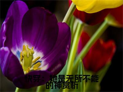 快穿：她是无所不能的神（ 宁陆姜檬萌全文免费阅读）小说最新章节_快穿：她是无所不能的神全文免费阅读最新章节列表_笔趣阁